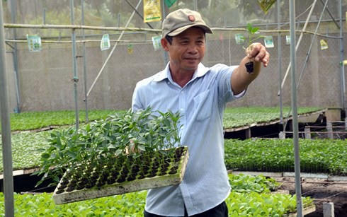 Ông Lưu Văn Nhanh, ấp Phú An B, xã Phú Vĩnh, thị xã Tân Châu, tỉnh An Giang bên vườn ươm giống cây rau màu các loại.
