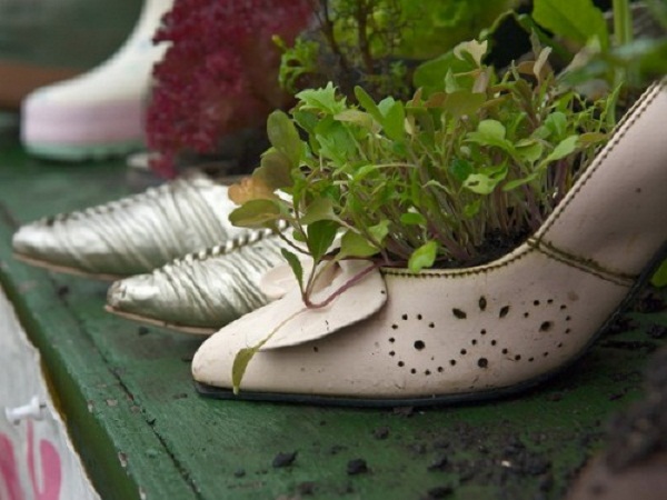 Chậu hoa giày cao gót sẽ mang đến vẻ đẹp lãng mạn và duyên dáng cho không gian sống.