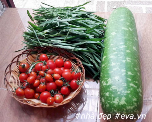 Nhờ trồng rau sạch, chị Kim Anh không phải mua rau ngoài chợ hay siêu thị.