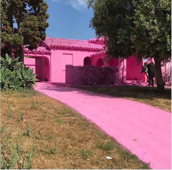 Mái nhà, đường đi và cả... lá cây trong nhà đều được sơn màu hồng.