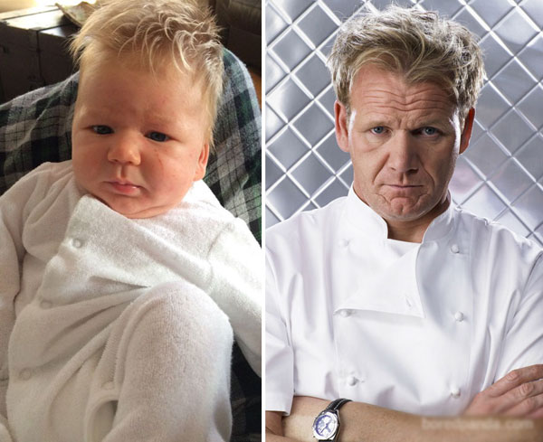 
Cậu bé này giống hệt đầu bếp Gordon Ramsay.
