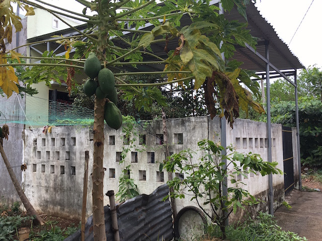 
Căn nhà nghi phạm thuê trọ vắng lặng, không bóng người. Ảnh Minh Anh.
