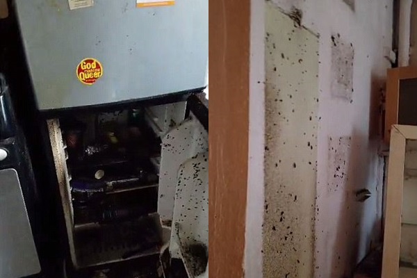 
Tường th&igrave; r&ecirc;u mốc bẩn thỉu, tủ lạnh th&igrave; ch&aacute;y đen, vậy m&agrave; anh ta vẫn sống tốt.
