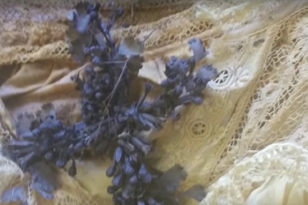 
Chiếc váy ren và những cành hoa lavender không hề có dấu hiệu cũ sờn hay héo úa.
