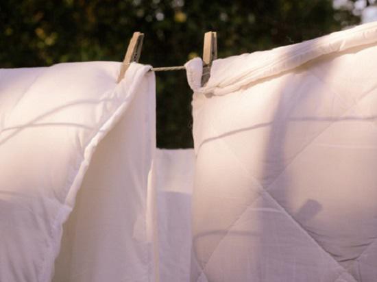 Phơi vỏ gối dưới nắng khoảng 2 tiếng trước khi giặt là một cách giúp loại bỏ nhiều vi khuẩn trên vỏ gối.