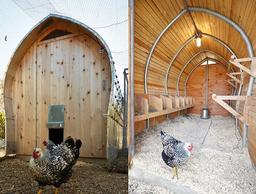 Một chuồng gà mái vòm độc đáo ở New York được thiết kế cả hệ thống sàn sưởi ấm cho gà.