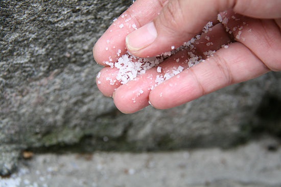 Muối là một trong những nguyên liệu tự nhiên đuổi kiến hiệu quả và tiết kiệm.