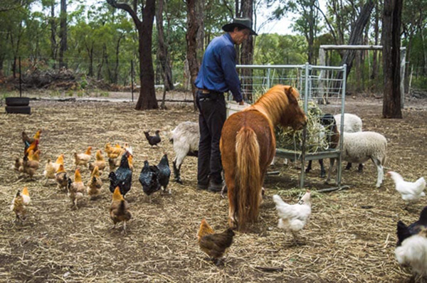 Trong trang trại nuôi nhiều loại thú khá đặc biệt, chủ yếu được cứu về từ nhiều nơi tại Queensland