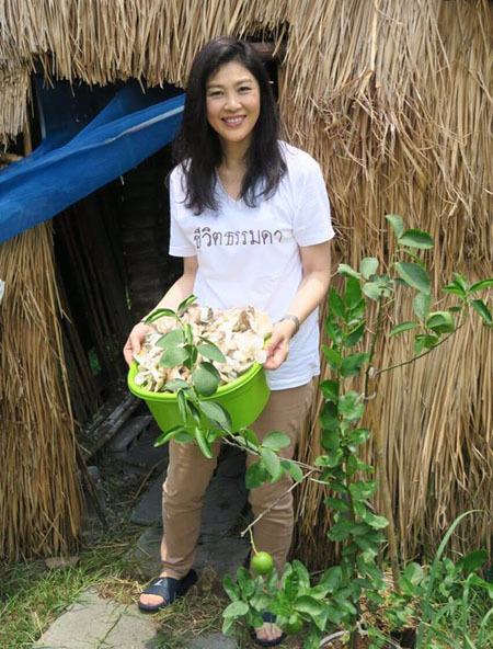 Bà Yingluck là tín đồ của rau diếp và các loại rau sống khác vì tin nó rất tốt cho sức khỏe. Bà nói: Trồng nhiều loại rau trong vườn nhà, tập trung vào những loại rau lành mạnh có tác dụng chữa bệnh như chống ung thư, tim mạch, chuột rút....