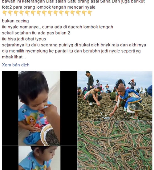 
Đoạn clip xuất phát từ một trang facebook tại Indonesia.
