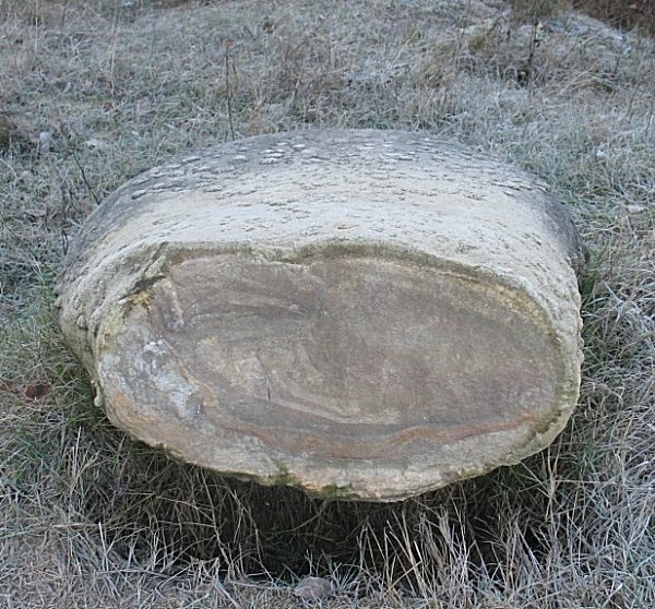 
Khi cắt đôi hòn đá, người ta nhìn thấy những đường vân giống trong thân cây gỗ.
