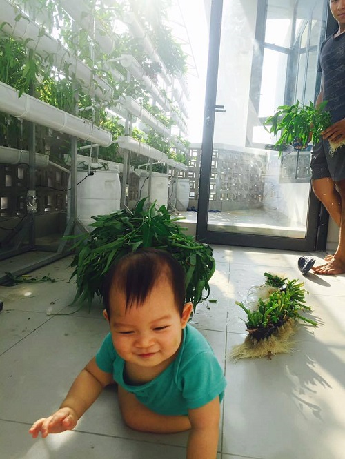Cậu út Mio nhà Lý Hải - Minh Hà được mẹ giao nhiệm vụ ngồi canh rau không cho sâu tha đi mất.