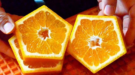 Giống cam ngũ giác độc đáo với ý nghĩa hết sức đẹp đẽ do người Nhật trồng.