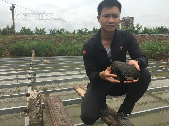 Anh T&ugrave;ng b&ecirc;n một con trai lớn đ&atilde; cấy ngọc. Ảnh: Nguyễn Ho&agrave;n.