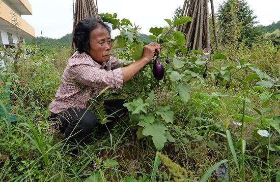 Bà Yu sống tại Cảnh Đức Trấn từ năm 12 tuổi, nơi đây được coi là “thủ phủ gốm sứ” của Trung Quốc.