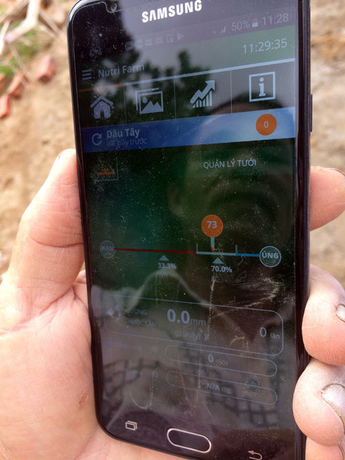 &Ocirc;ng Phi chăm s&oacute;c, kiểm tra vườn d&acirc;u t&acirc;y qua phần mềm tr&ecirc;n điện thoại di động. Ảnh: Đ.T.K