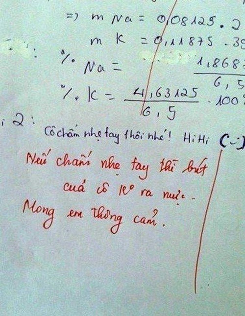 Khi học sinh để lại lời nhắn trong b&agrave;i l&agrave;m C&ocirc; chấm nhẹ tay th&ocirc;i nh&eacute;! Hihi, c&ocirc; gi&aacute;o cũng rất th&acirc;n thiện trả lời Nếu chấm nhẹ tay th&igrave; b&uacute;t của c&ocirc; kh&ocirc;ng ra mực. Mong em th&ocirc;ng cảm - Ảnh: FB