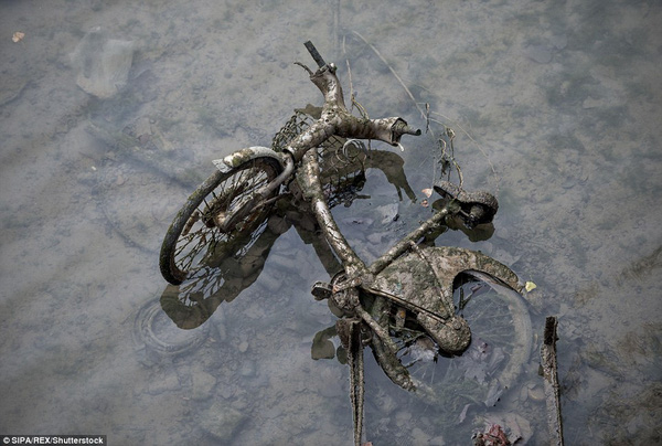 
Một chiếc xe đạp phủ đầy bùn đất.
