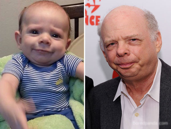 
Diễn viên điện ảnh kiêm lồng tiếng Wallace Shawn chắc cũng phải giật mình vì nhóc con đặc sệt mình.
