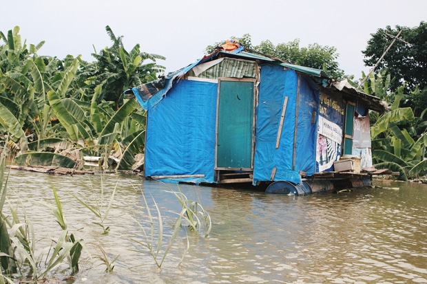 Những ngôi nhà giáp vườn chuối...