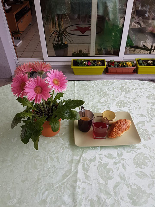 Bữa sáng đơn giản của vợ chồng chị Hương trở nên thú vị hơn khi họ cùng thưởng thức bên những chậu hoa nhỏ xinh.