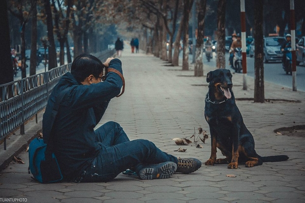 Ch&uacute; ch&oacute; Lucy đ&atilde; gắn b&oacute; với gia đ&igrave;nh anh Dương suốt 5 năm