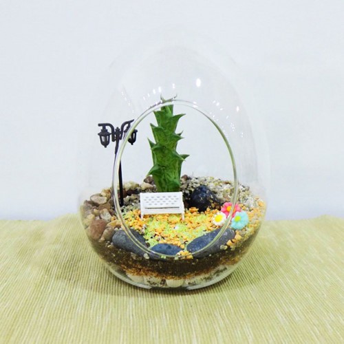 
Terrariums phù hợp với các loại cây hoa đá, xương rồng. Ảnh: Makeyourown.
