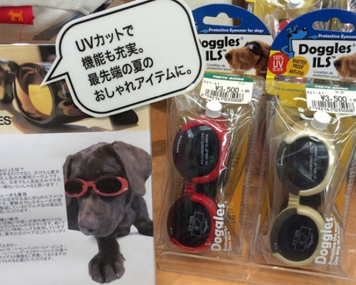 Kính đen cho chó: Người Nhật nổi tiếng dành nhiều tình yêu cho chó, mèo. Họ biết, những chú cún cũng thấy khó chịu khi ánh nắng quá gay gắt.