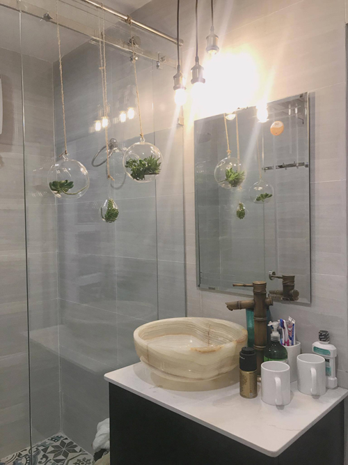 Nhà vệ sinh được thiết kế gọn gàng, xinh xắn. Anh sử dụng những chậu cây không khí tạo không gian xanh.