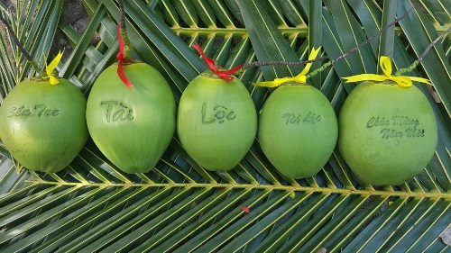 Những trái dừa có in chữ từng có giá 300.000 - 500.000 đồng/quả.