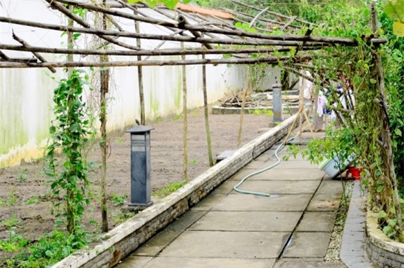 Ngôi nhà của “người đẹp Tây Đô” được bao quanh bởi khu vườn rộng rãi, trồng nhiều loại rau và cây ăn quả. Các loại rau trong vườn đủ cung cấp cho cả gia đình cô.