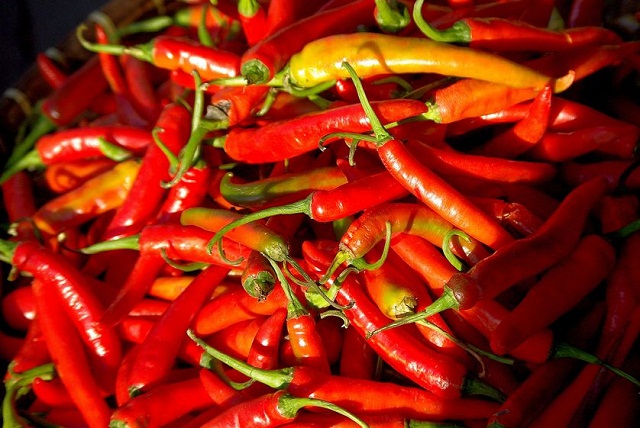Sử dụng ớt thừa cũng như ớt còn sót lại trong các món ăn để tránh sự xâm nhập của các loài gây hại cây trồng trong vườn nhà bạn. Pha trộn ớt với nước trong bình xịt và sử dụng như một loại thuốc xịt để ngăn chặn sâu bệnh từ cây trồng.