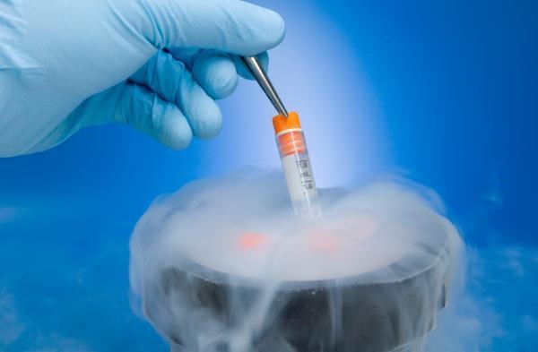 
Quá trình tạo phôi thai từ phương pháp lưu trữ trứng đông lạnh
