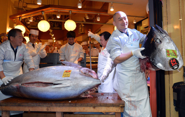 
Chú cá nặng 221kg được đấu giá tới 1,76 triệu USD (khoảng 40 tỉ VNĐ)
