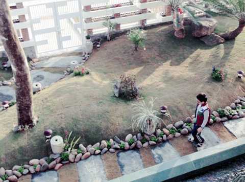 Trong sân vườn, Trọng Tấn cho trồng rất nhiều cây và làm các tiểu cảnh đẹp mắt.