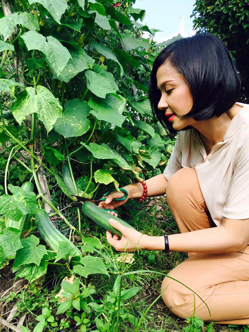 Việt Trinh cho biết ngày thường người thân của cô sẽ giúp trồng và chăm sóc khu vườn. Cuối tuần, cô sẽ về làm phụ.