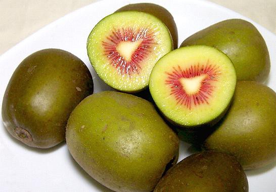 Nhưng mới đây loại kiwi cầu vồng khiến mọi người giật mình vì giá của chúng thuộc hàng siêu đắt đỏ