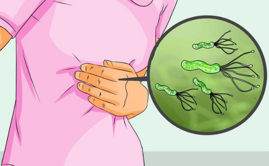 Helicobacter Pylori (HP) có thể làm tăng nguy cơ ung thư dạ dày gấp 6 lần.