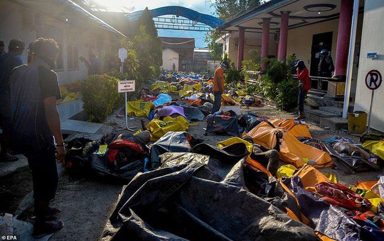 Số người thiệt mạng vì thảm họa kép động đất, sóng thần ở đảo Sulawesi của Indonesia tính tới sáng 1-10 đã vượt 1.200 người. Ảnh: EPA