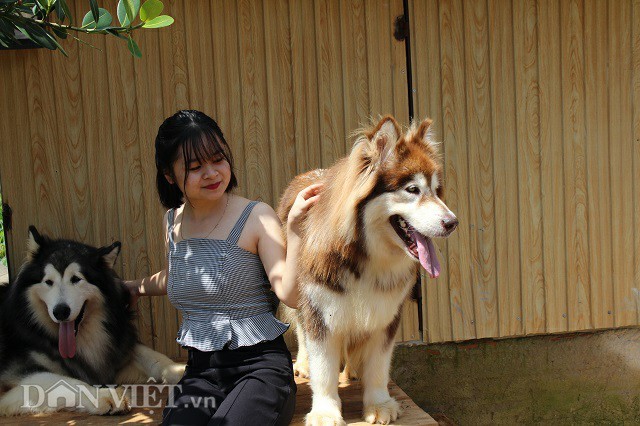 hình ảnh 7 lam dong: 9x nuoi dan cho tay to xac de khach chup anh va thu tram trieu/thang hinh anh 7