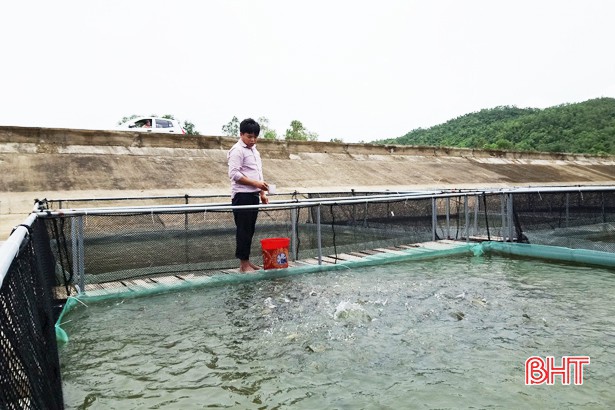 
Với kết cấu khá đơn giản nên việc lắp đặt, thi công và vận hành hệ thống lồng rất dễ dàng
