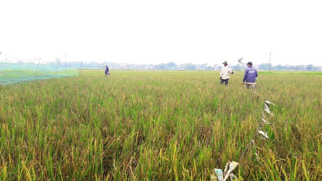 vuot hang tram km 