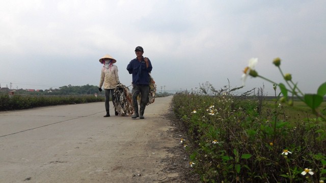 
Những người “thợ săn” rời cánh đồng thôn Liên Minh sang cánh đồng khác để tiếp tục công việc tìm bắt châu chấu cũng là thời điểm đã gần giờ nghỉ trưa, trời đổ nắng gắt.
