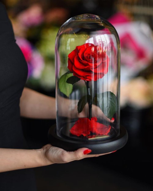 
Mỗi bông hoa đựng trong hộp thủy tinh có giá 800.000 đồng, loại hộp 3 bông giá 1,5 triệu đồng.
