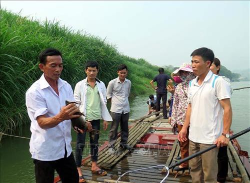 
Người dân tham quan Hợp tác xã chăn nuôi cá đặc sản Thái Hòa, huyện Hàm Yên (Tuyên Quang). Ảnh: Quang Đán - TTXVN
