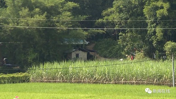 Một g&oacute;c của c&aacute;nh đồng, nơi nghi ngờ l&agrave; hiện trường của vụ &aacute;n.