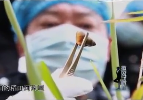 
Vỏ ốc t&igrave;m thấy tại hiện trường vứt x&aacute;c.
