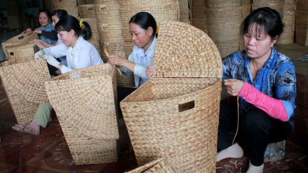 tu cho vut di, nay cong luc binh kho dat do, ban 1kg lai 7.000 dong hinh anh 3