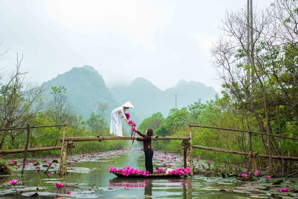 
Hoa súng để phục vụ khách dùng làm đạo cụ chụp ảnh với giá 5000 đồng/bông.
