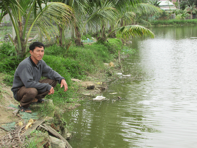 
Ngoài nuôi cá, anh Khoa còn tạo cảnh quan hàng dừa, ghế đá quanh ao nuôi để làm dịch vụ du lịch sinh thái cho người dân muốn câu cá thư giản.
